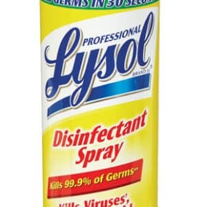 Lysol Professional Original Scent Disinfectant Spray 19 oz 1 pk