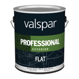 Valspar Professional Flat Tintable Neutral Base Paint Exterior 1 gal