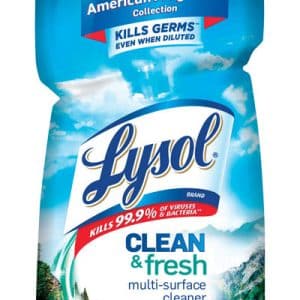 Lysol Clean and Fresh Cool Adirondack Air Scent Multi-Purpose Cleaner 40 oz 1 pk