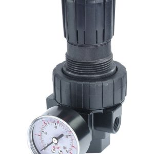 Tru-Flate Plastic/Steel Compact Regulator with Gauge 3/8 in. NPTF 125 psi 1 pc