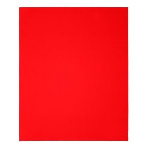 Diablo 9 in. L X 11 in. W 120 Grit Aluminum Oxide Sanding Sheet 4 pk