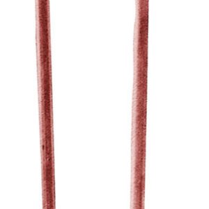 Sioux Chief 3/4 x 6 in. Copper Plated Copper Wire Pipe Hook