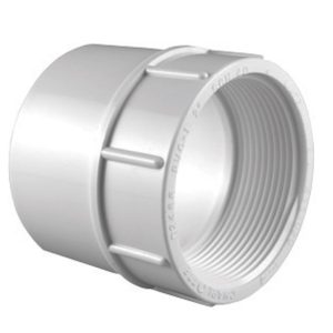 Charlotte Pipe Schedule 40 1/2 in. Slip X 1/2 in. D FPT PVC Pipe Adapter