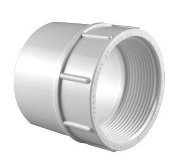 Charlotte Pipe Schedule 40 3/4 in. Slip X 3/4 in. D FPT PVC Pipe Adapter