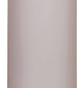 Reliance 40 gal 32000 BTU Natural Gas/Propane Mobile Home Water Heater