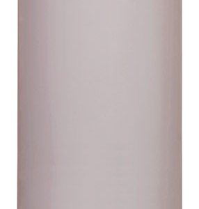 Reliance 30 gal 30000 BTU Natural Gas/Propane Mobile Home Water Heater