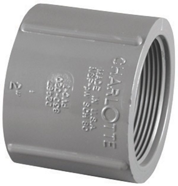 Charlotte Pipe Schedule 80 1/2 in. FPT X 1/2 in. D FPT PVC Coupling
