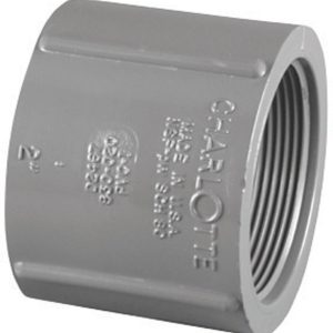 Charlotte Pipe Schedule 80 3/4 in. FPT X 3/4 in. D FPT PVC Coupling