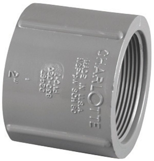 Charlotte Pipe Schedule 80 3/4 in. FPT X 3/4 in. D FPT PVC Coupling