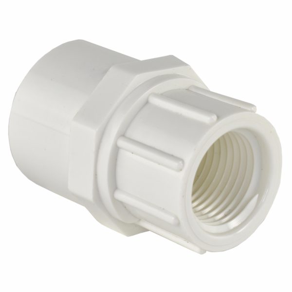 Charlotte Pipe Schedule 40 3/4 in. Slip X 1/2 in. D FPT PVC Pipe Adapter