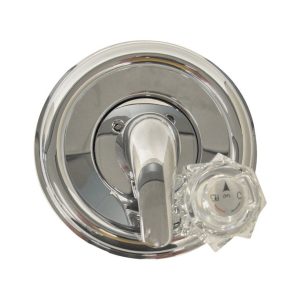 Danco 2-Handle Chrome Tub and Shower Trim Kit