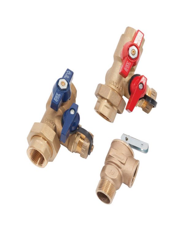 Reliance 3/4 in. FPT in. X 3/4 in. Brass Valve Kit