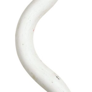 Sioux Chief 3/4 in. Slip in. PVC Drain Trap