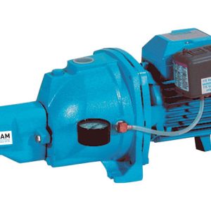 Burcam 1/2 HP 650 gph Cast Iron Convertible Jet Pump