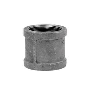 Anvil 1-1/4 in. FPT X 1-1/4 in. D FPT Black Malleable Iron Coupling
