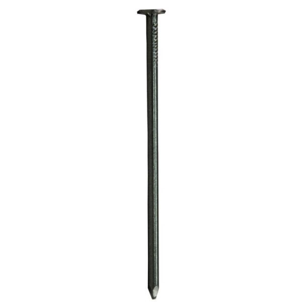 Stallion No. 6 2 in. Trim Hot-Dipped Galvanized Steel Nail Brad Head 5 lb
