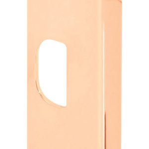 Prime-Line 4-7/8 in. H X 1-1/4 in. L Polished Brass Brass Door Strike