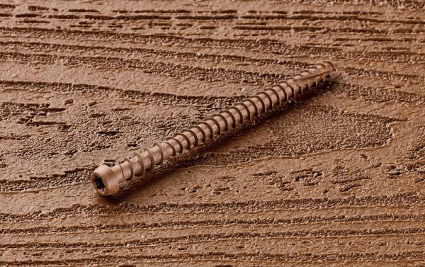 Starborn Cap-Tor No. 10 X 2-3/4 in. L Star Undercut Head Composite Deck Screws 350 pk