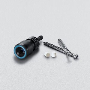 Starborn Pro Plug No. 10 X 2-1/2 in. L Star Trim Head Deck Screws and Plugs Kit 1 pk