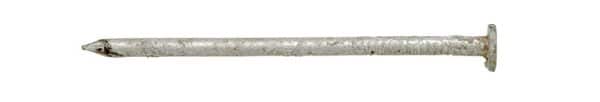 Stallion 16D 3-1/2 in. Box Hot-Dipped Galvanized Steel Nail Flat Head 1 lb
