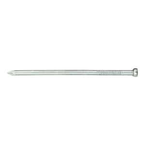 Stallion 10D 3 in. Finishing Steel Nail Brad Head 1 lb