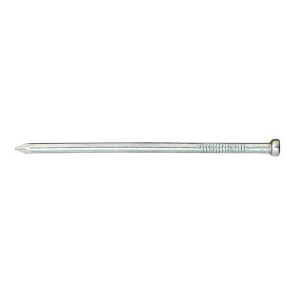 Stallion 10D 3 in. Finishing Steel Nail Brad Head 1 lb
