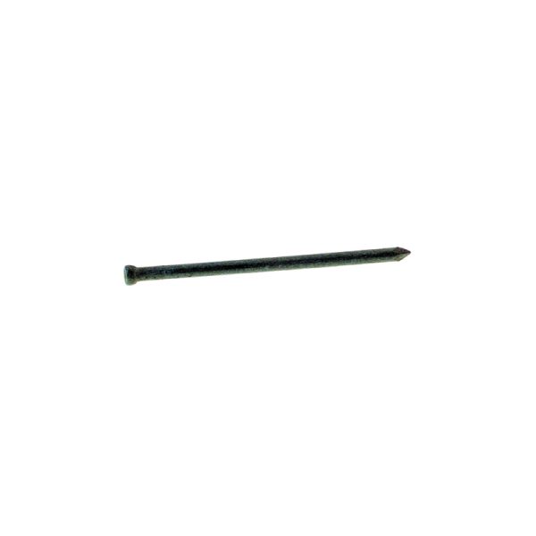 Grip-Rite 10D 3 in. Finishing Hot-Dipped Galvanized Steel Nail Brad Head 5 lb