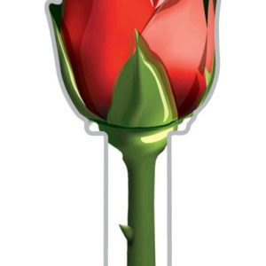 Lucky Line Key Shapes Rose House Key Blank SC1 Double For Schlage
