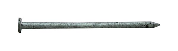 Pro-Fit 2 in. Common Hot-Dipped Galvanized Steel Nail Flat Head 5 lb