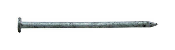 Pro-Fit 3-1/4 in. Common Bright Steel Nail Flat Head 5 lb