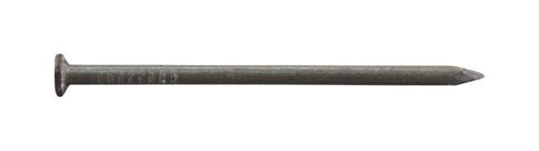 Pro-Fit 4 in. Common Bright Steel Nail Flat Head 1 lb