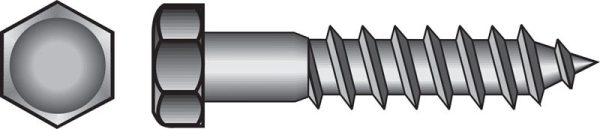 Hillman 5/16 in. X 5 in. L Hex Zinc-Plated Steel Lag Screw 50 pk