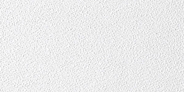 USG Sheetrock 4 ft. L X 2 ft. W 0.5 in. Square Edge Ceiling Panel 1 pk