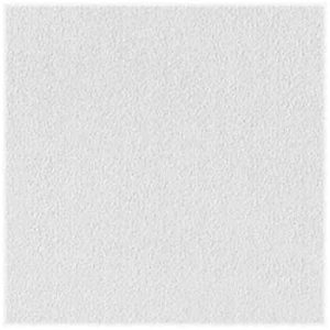 USG Sheetrock Brand Non-Directional 24 in. L X 24 in. W 0.5 in. Square Edge Ceiling Panel 1 pk
