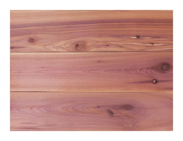 Global Product 48 in. L Unfinished Aromatic Cedar Wall Planking