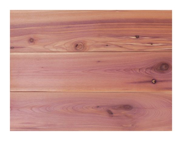 Global Product 48 in. L Unfinished Aromatic Cedar Wall Planking
