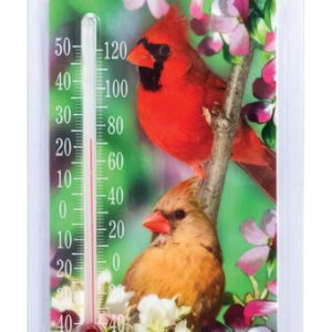 Taylor Bird Design Tube Thermometer Plastic Multicolored 8 in.