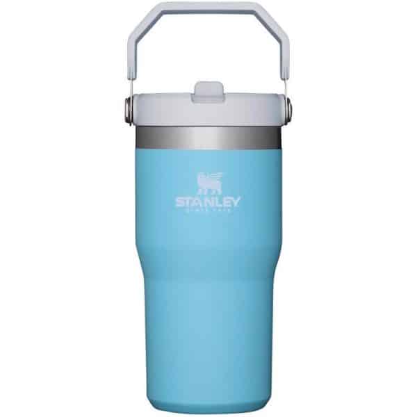 Stanley Classic 20 oz Iceflow Pool BPA Free Insulated Straw Tumbler