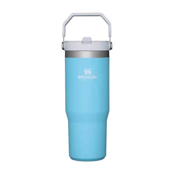 Stanley Classic 30 oz Iceflow Pool BPA Free Insulated Straw Tumbler