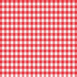 Magic Cover Red/White Checkered Vinyl Disposable Tablecloth 90 in. 52 in.