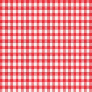 Magic Cover Red/White Checkered Vinyl Disposable Tablecloth 70 in. 52 in.