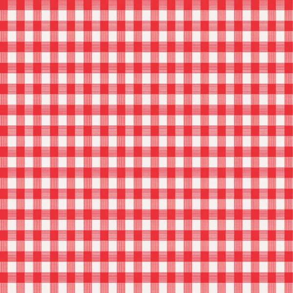 Magic Cover Red/White Checkered Vinyl Disposable Tablecloth 70 in. 52 in.