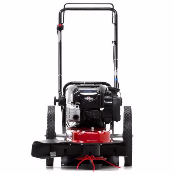 Toro 37391 22 in. 163 cc Gas Trimmer Mower