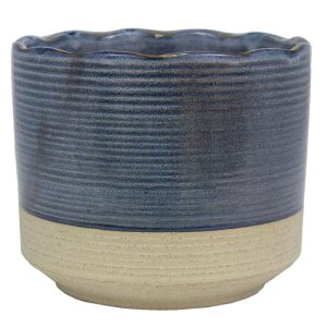 Trendspot Shore 6 in. D Ceramic Planter Blue