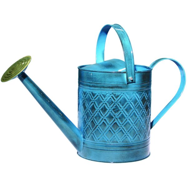 Robert Allen Mountain Waves 2 gal Metal Wexley Watering Can