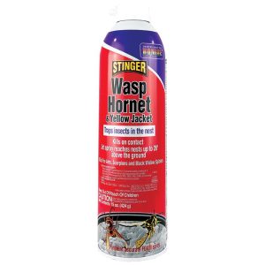 Bonide Stinger Wasp Killer Foam 15 oz