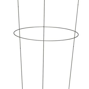 Panacea 30 in. H X 18 in. W Gray Steel Peony Cage