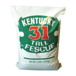 Barenbrug Kentucky 31 Tall Fescue Grass Sun or Shade Grass Seed 5 lb