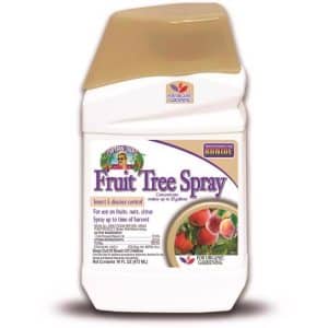 Bonide Insect Killer Liquid 16 oz