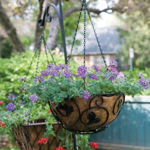Panacea Black Steel 84 in. H Double Crook and Shepherd Leaf Plant Hook 1 pk